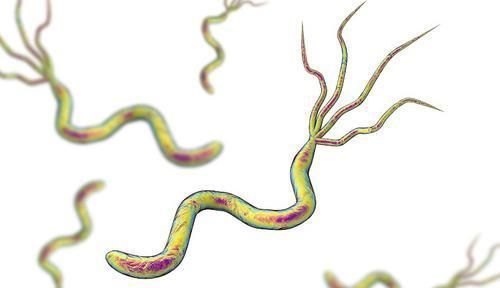 不想幽门螺杆菌缠住，养成5个习惯有必要，若坚