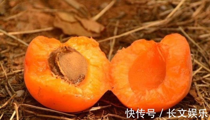 活性|患了癌症不用慌, 常吃这些小食材, 癌细胞或许会和你说拜拜