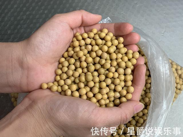 石膏|想吃豆腐不用买,教你在家自制豆腐,几乎零失败,自己做吃着放心
