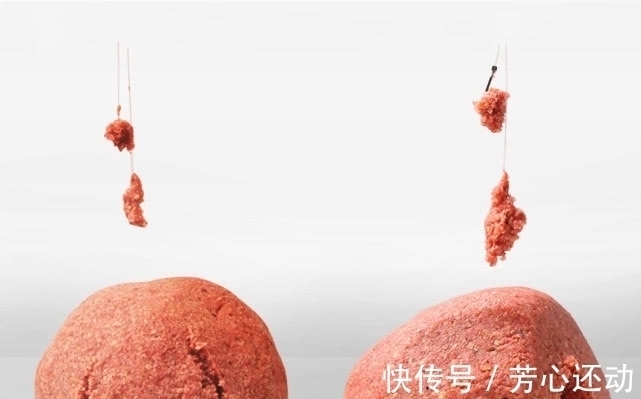 渔获|同样的配方,别人爆护你空军?可能你求配方时忽略了这3个细节