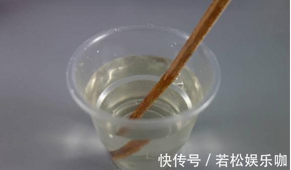 花卉|生根剂不用买,用家家都有的“小东西”,2分钟就能制出来