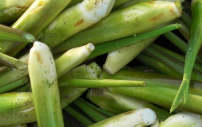 养颜|女性坚持吃3种食物,排毒养颜、延缓衰老,爱吃就赚了!