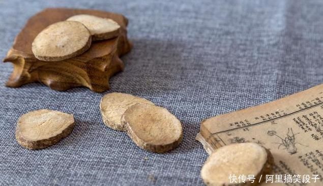 茯苓|一味常用的“除湿”良药,能“通泻三焦之水,清利一身之湿”