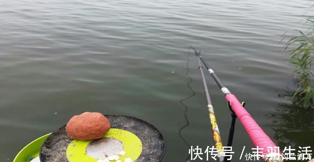 渔获|同样都是钓鱼,为何别人比你钓得多,秘密在这里