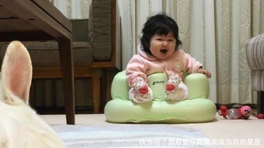 家长|家长们要知道，这4类宝宝很容易长胖，别再做坑娃的行为了