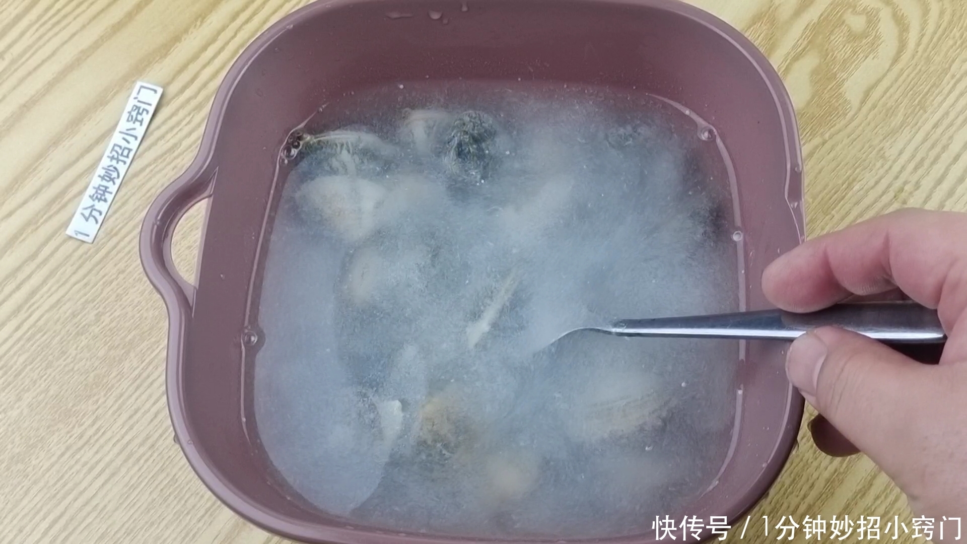 洗花蛤时,不要加盐了!老渔民:教你一招,花蛤疯狂快速吐沙