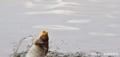 10首垂钓古诗词,充满诗情画意,尽显垂钓乐趣