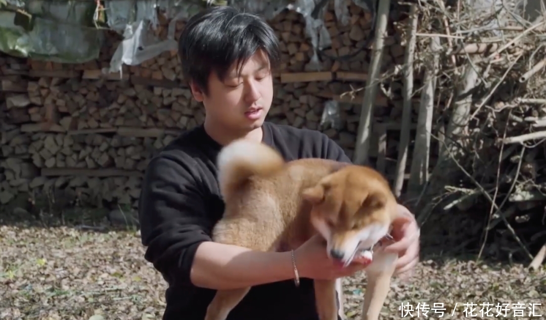 黄磊|《向往》冒出一个爱抢镜的人,拍照都要坐c位,俨然成常驻第六人