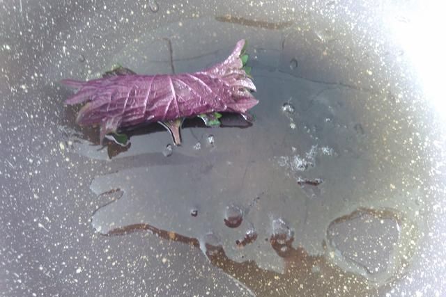 独特|独特的野菜香味,和肉这样搭配做成一道美食,香味闻到都流口水