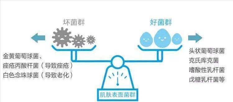 兰黛|2021 年 618 有什么护肤品推荐?