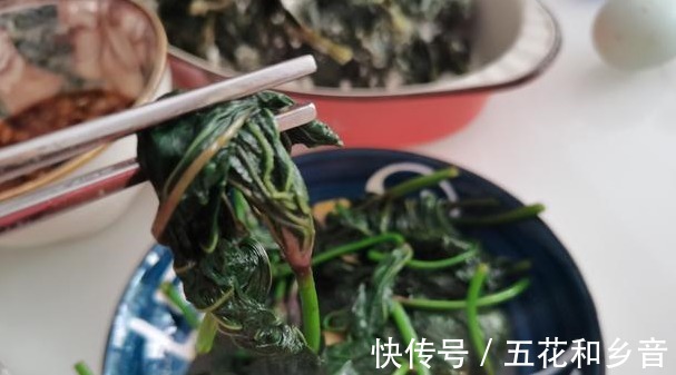 为人父母|青岛一家三口的晚餐,在朋友圈火了,不剩菜不浪费,网友太寒酸!