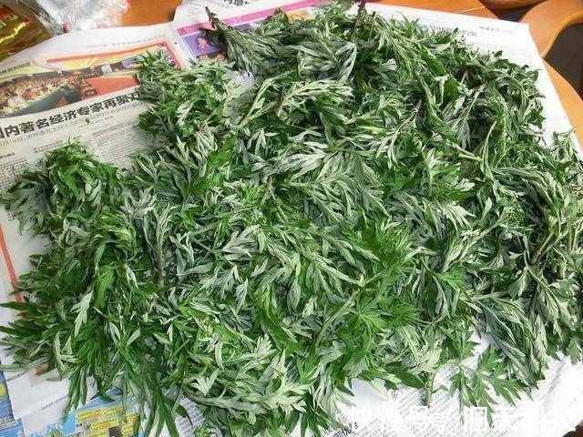 颈椎病|大葱+红糖，效果神奇，奶奶脖子不痛了，就连头晕手麻也不见了！