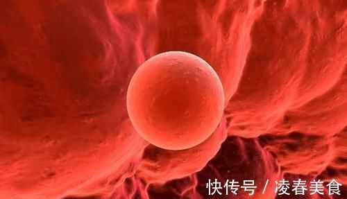 女性|当女性出现这5个“变化”,说明进入排卵期了,备孕夫妻要抓紧