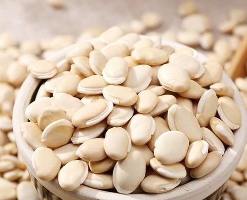 养脾|中国人的养脾圣药横扫脾气虚、脾湿重、胃阴不足,值得学习