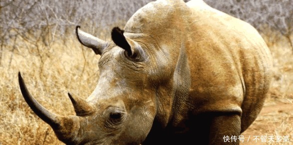 旧金山亚洲|我国遗失一宝, 其诞生或与纣王有关, 若被证实, 纣王形象将被改写