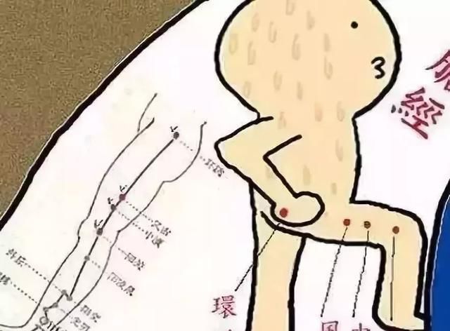 经络不通百病生,一套从头练到脚的经络养生操,手把手教会您