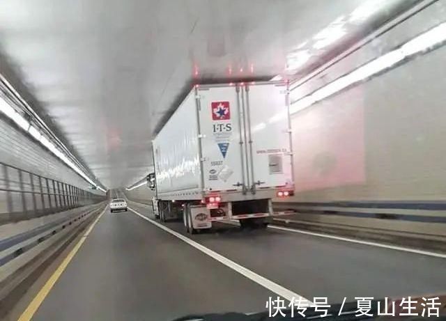 照片&这些照片巧妙得非常艺术,处女座看了很过瘾,连蛇也有“强迫症”