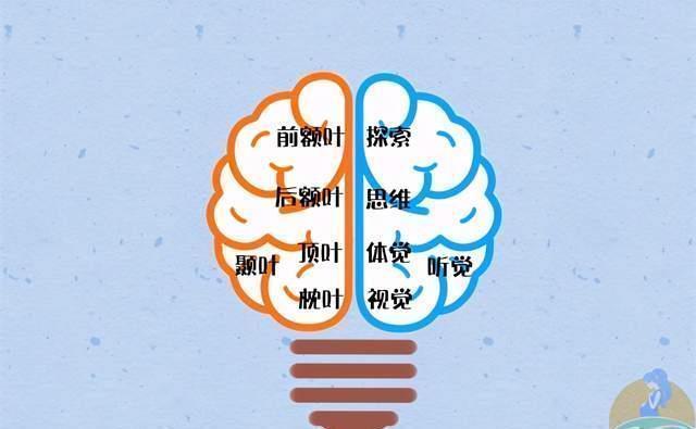 标志|孩子身上有这几个坏习惯,标志其右脑发育好,将来容易成为小学霸