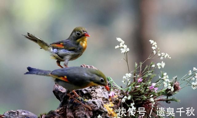 琵琶行!白居易一首冷门情诗,通俗易懂,感情真挚,很多人以为是现代诗