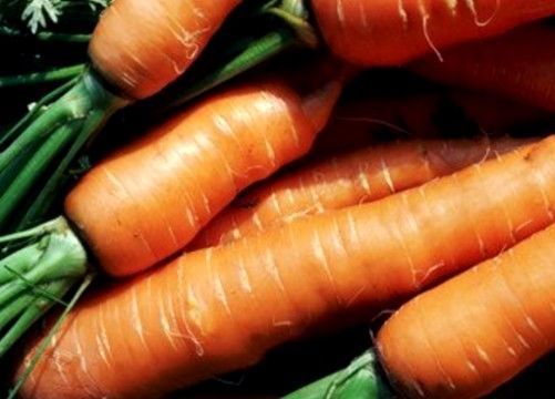 失血性休克胶缺血性脑|女性想要皮肤好常吃3种食物，排毒养颜、延缓衰老，早吃早好