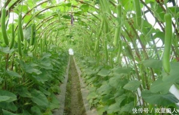  食品添加剂|肝爱闹情绪，谨记“3多3少”，肝病不敢来“作乱”