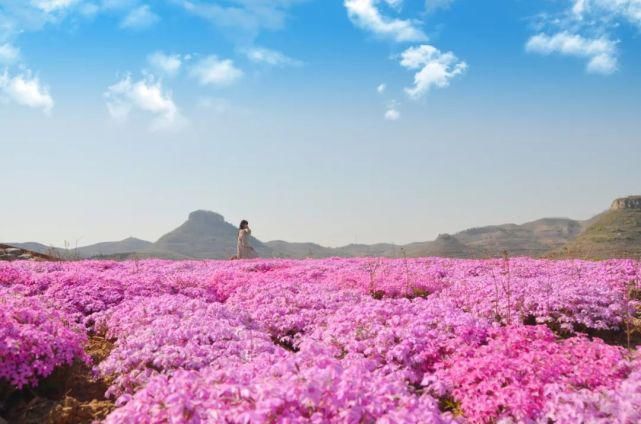 花海世界过春天，不负春光不负春