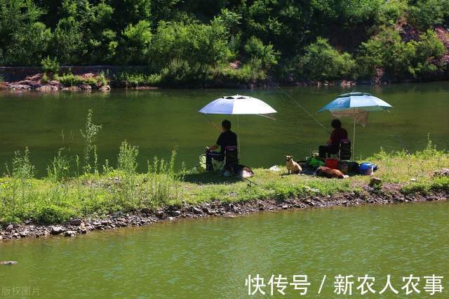 长达1.7米!湖北一男子河里野钓,收获巨型鳡鱼,网友:不能放生