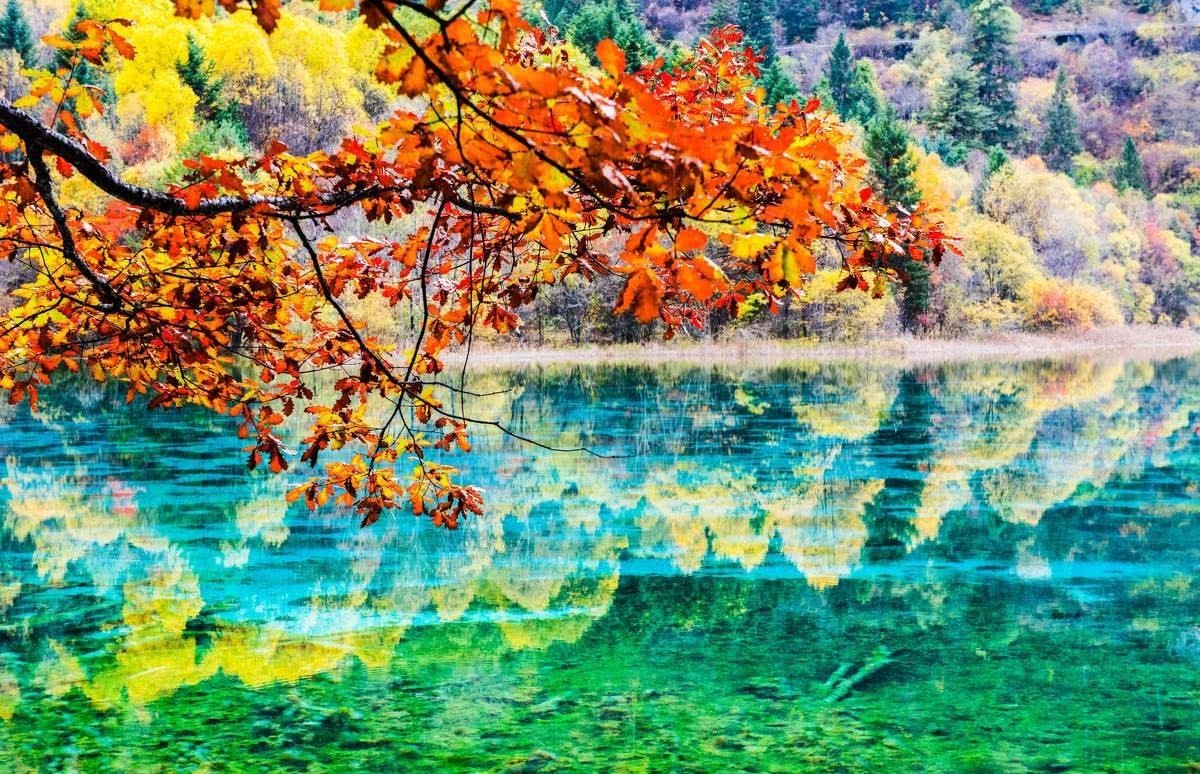 竟然不是四川,也不是指成都,它到底在哪里?