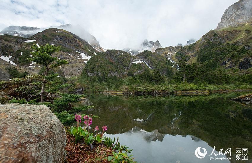 高山杜鹃|探寻滇西北秘境 走进云南维西南几洛看高原湖泊群