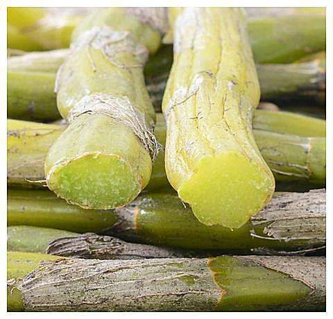 女人再節(jié)儉6種堿性食物也要吃，補充天然雌激素，防早更顯年輕