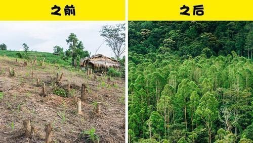 eco 人类为了拯救受伤地球所进行的13个项目