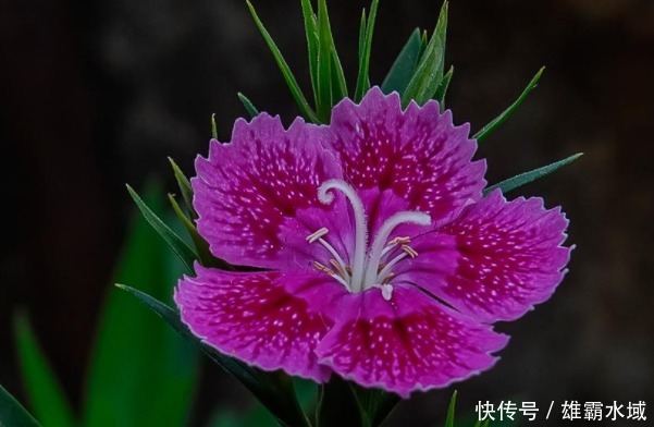 俗话说:人有脸,树有皮,想要“财福”从天而降,别丢了4种尊严