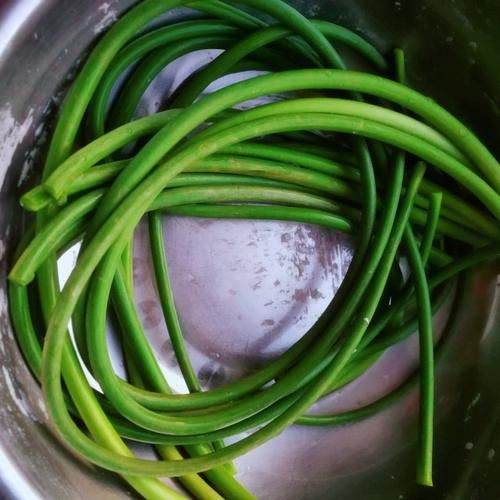  肉末炒蒜薹粒，家常小炒，美味下饭菜