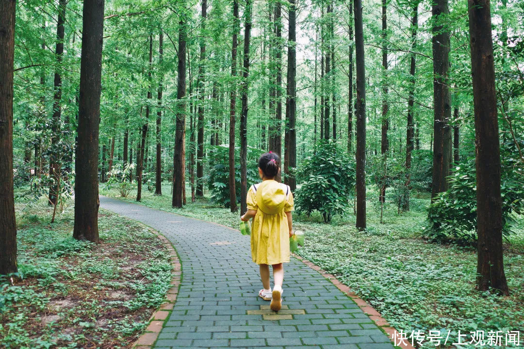 沙滩|穿越时空、漫游仙境、徜徉花海……在金山还可以这样玩