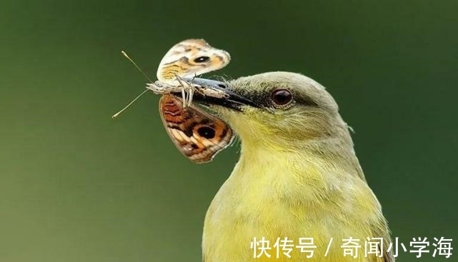 24个冷知识:生物老师看完直呼不可思议,但却真实存在的有趣知识。