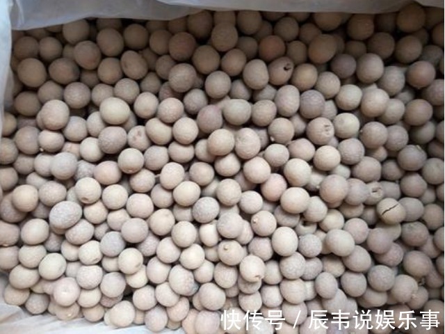 桂圆肉|吃了好些年桂圆,现在才知道!1粒桂圆3味药,壳和核都是药材