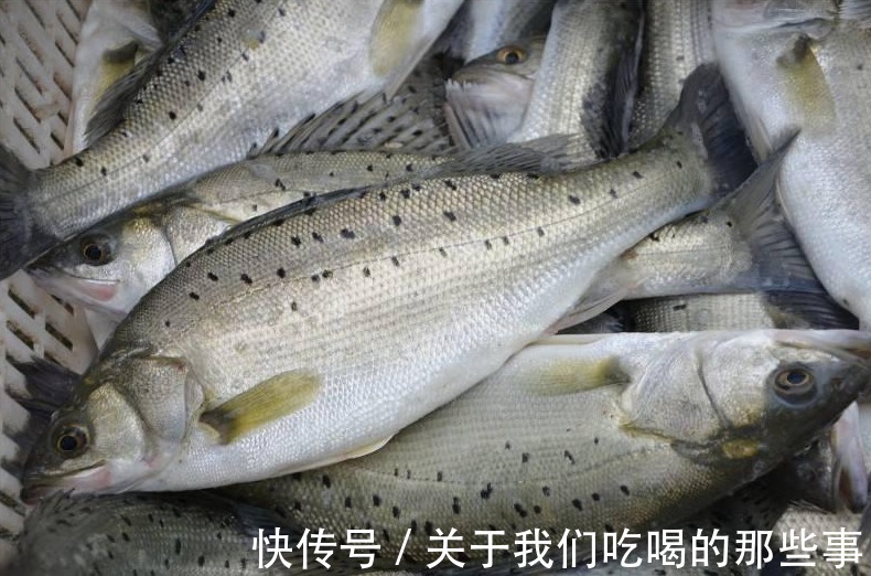 哪些鱼适合冬天吃？聪明人选这4种，肉肥味鲜营养高，价格还便宜