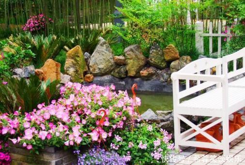 她家院子里开满了花,像一个小花园,好想去赏花,真美!