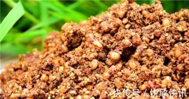 自制一款经济实用的小麦诱饵，会用的钓鱼人不多