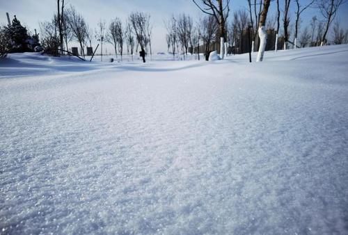 才能|新疆冬季民间滑雪之痛，藏在快乐背后的隐患，岂能靠封堵了之？