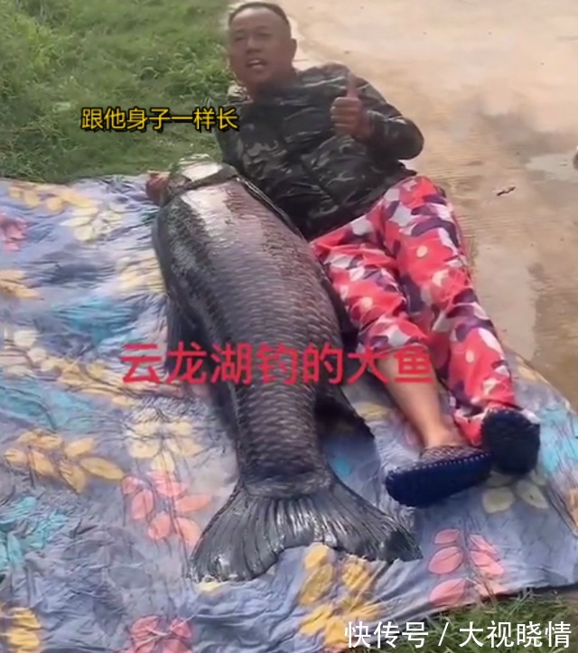 云龙湖|身形跟人一样长!江苏176斤大鱼又上钩了,钓鱼人:年年都要被钓上岸