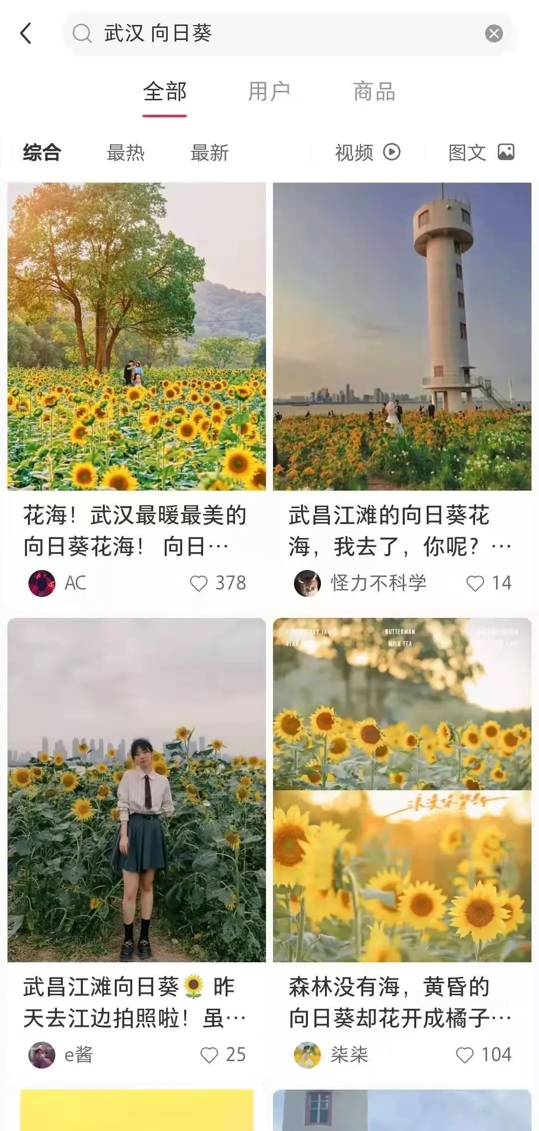 花海|我们在武汉江滩边，发现了梵高的画作