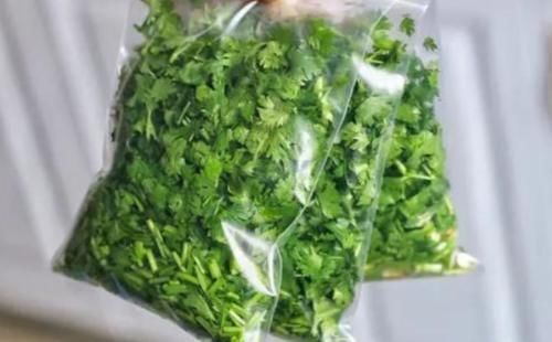 保存香菜,不要直接放冰箱教你正确方法,香味浓郁,放1年不坏