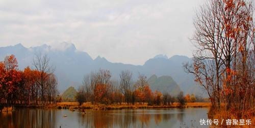 美丽|秋光乍泄 美景成诗 秋日的神农架 一定会惊艳到你