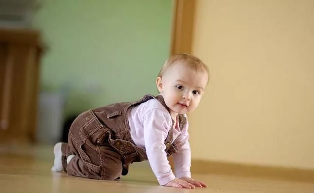 引导|1岁内宝宝四大能力发育标准,若一个没达标,孩子可能发育迟缓了