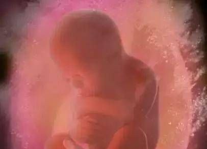 打嗝|怀孕10月280天,胎宝宝都是怎样打发时间的他们在子宫里嗨着呢