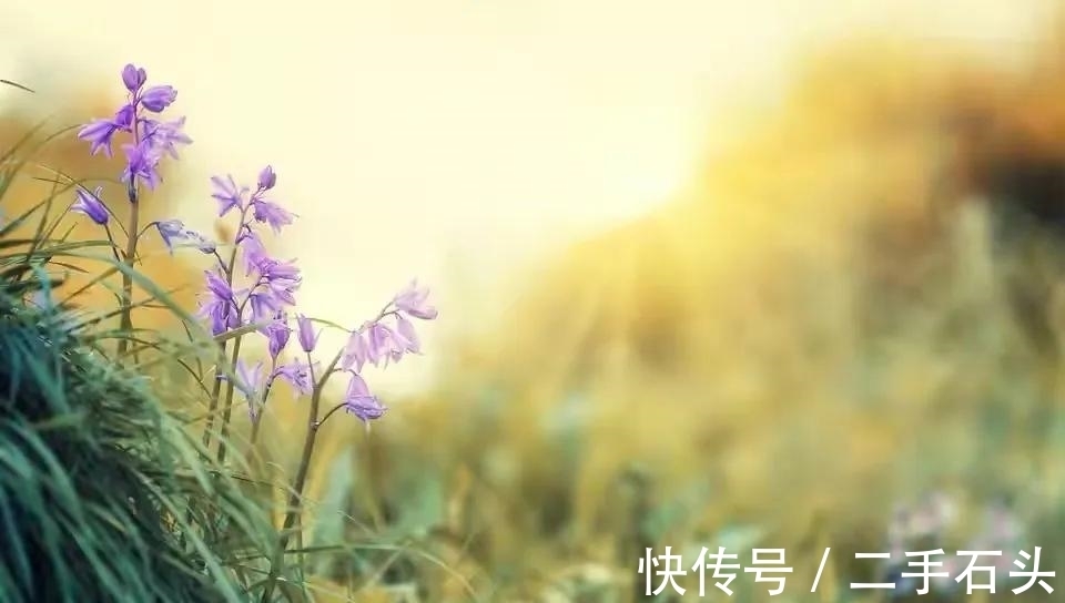 矛盾|“为了避免婆媳矛盾,别让我妈照顾你月子了”可以,我有一个条件