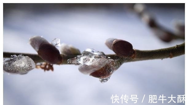 回路|七天后，风风雨雨，破镜重圆，峰回路转，旧情成梦，前景十分美好