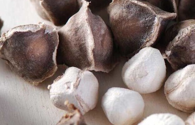 敌人|白酒的“敌人”,聚会前偷偷吃两口,白酒啤酒红酒喝多少也不会醉