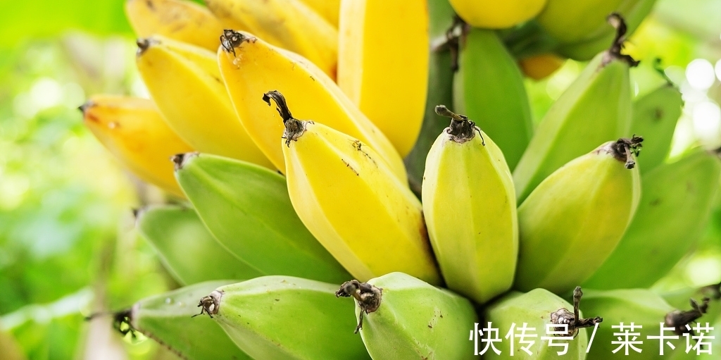 20个冷知识：真实存在于我们的生活中，趣味十足的奇怪知识